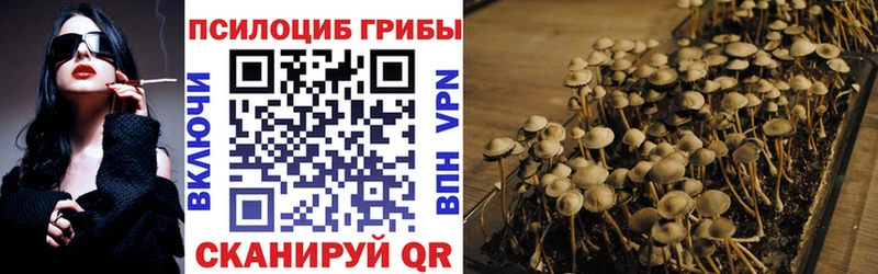 Галлюциногенные грибы Cubensis  Новошахтинск 